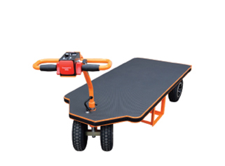 Motorized platform trolley