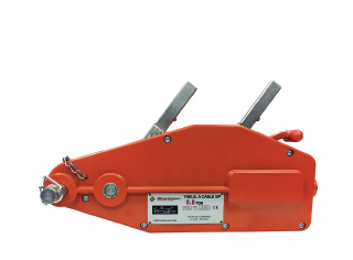 Electric and manual hoist