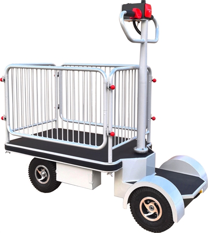 Self-propelled powered platform with standard safety rails 400 kg