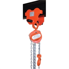 Quick installation manual hoist trolley 500 to 3000 kg - 