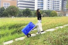 170 kg motorised electric sledge - 