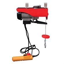 Mini electric hoist 125 to 1000 kg - 