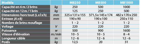 Mini-treuil électrique 250 à 1000 kg | SRMB