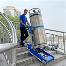 Sangle de sécurité  pour diable électrique 6000 mm - 